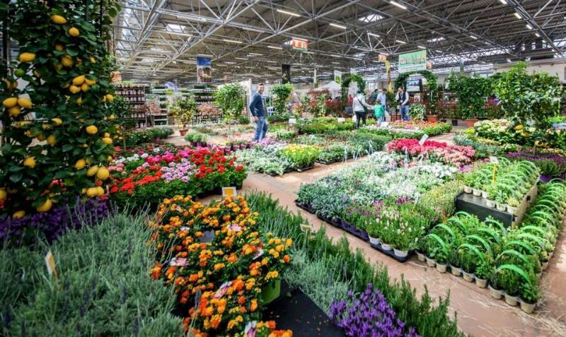 Florovivaismo: la Gran Bretagna riapre il mercato alle piante ornamentali italiane