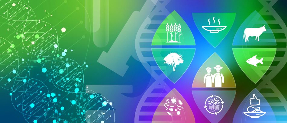 Il CREA alla FAO Global Agrifood Biotechnologies Conference 2025