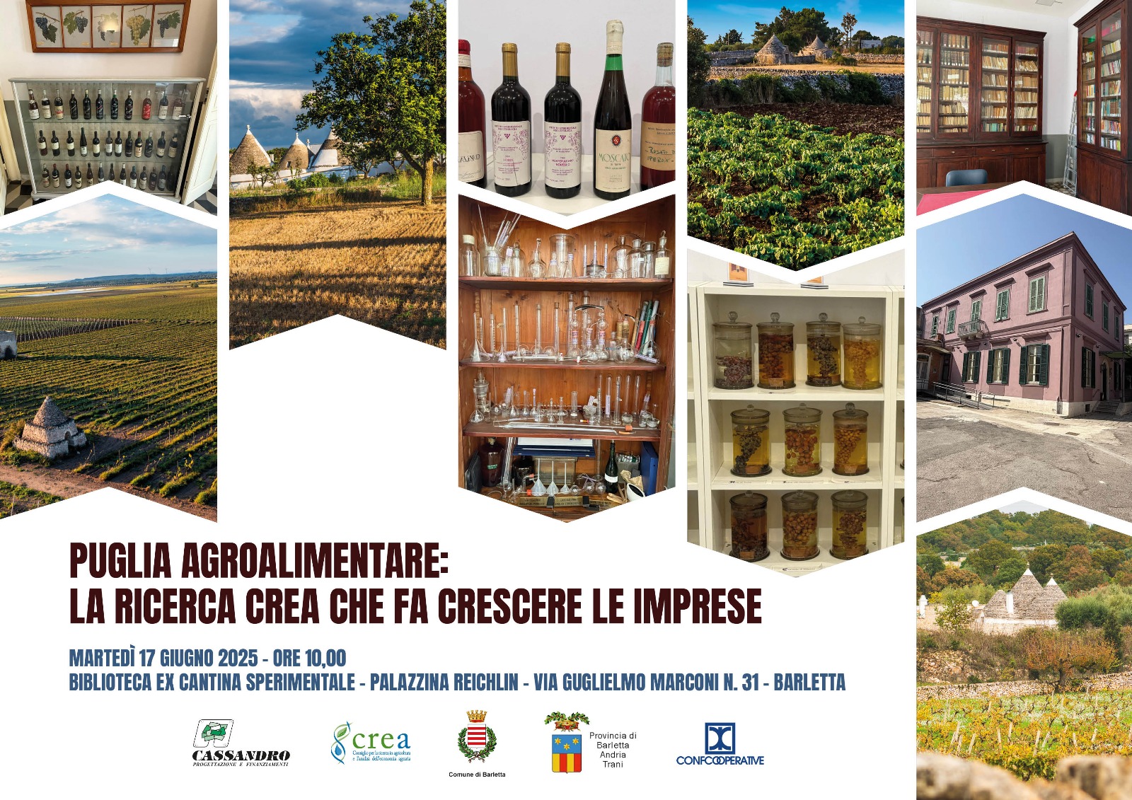 La ricerca CREA che fa crescere le imprese in Puglia