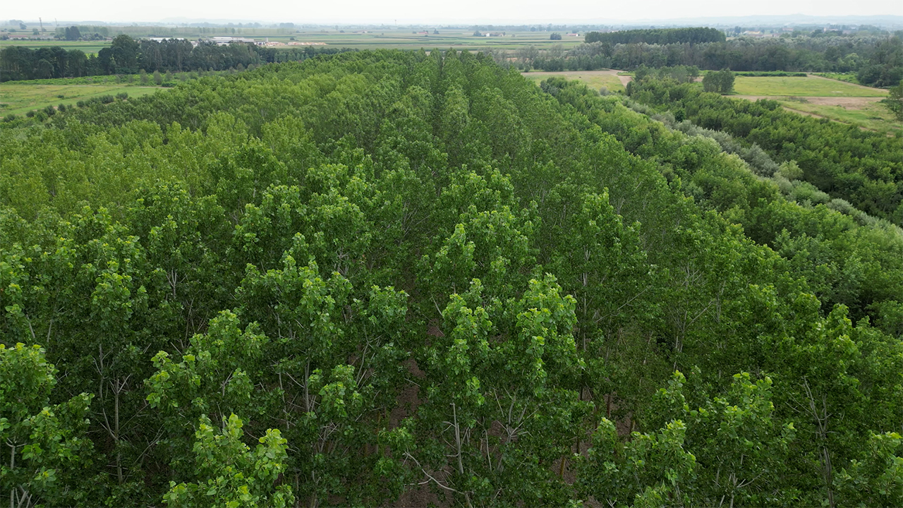 L’ultimo numero di CREA Futuro su Sherwood