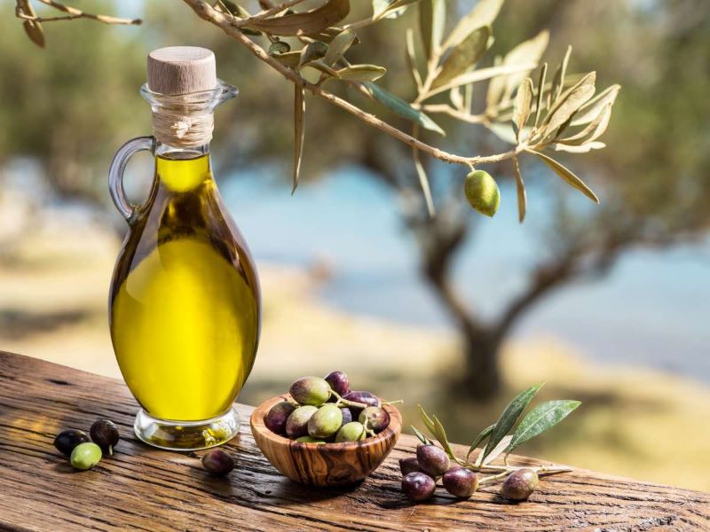 L'olio e l'ulivo, un patrimonio da tutelare contro i cambiamenti climatici