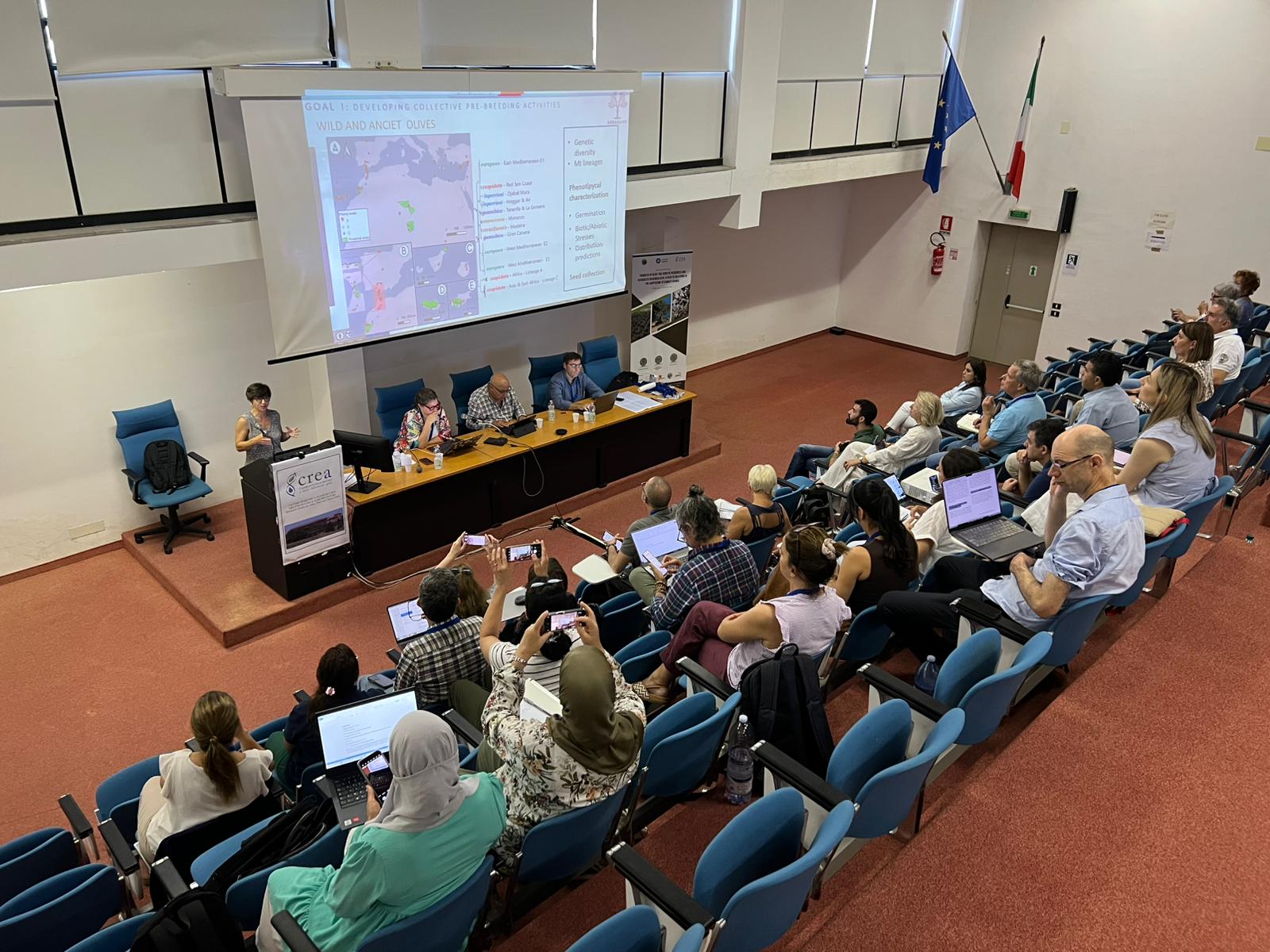 L’Italia protagonista sul germoplasma dell’olivo: a Rende il workshop internazionale promosso dal COI e dal CREA OFA L’Italia protagonista sul germoplasma dell’olivo: a Rende il workshop internazionale promosso dal COI e dal CREA OFA