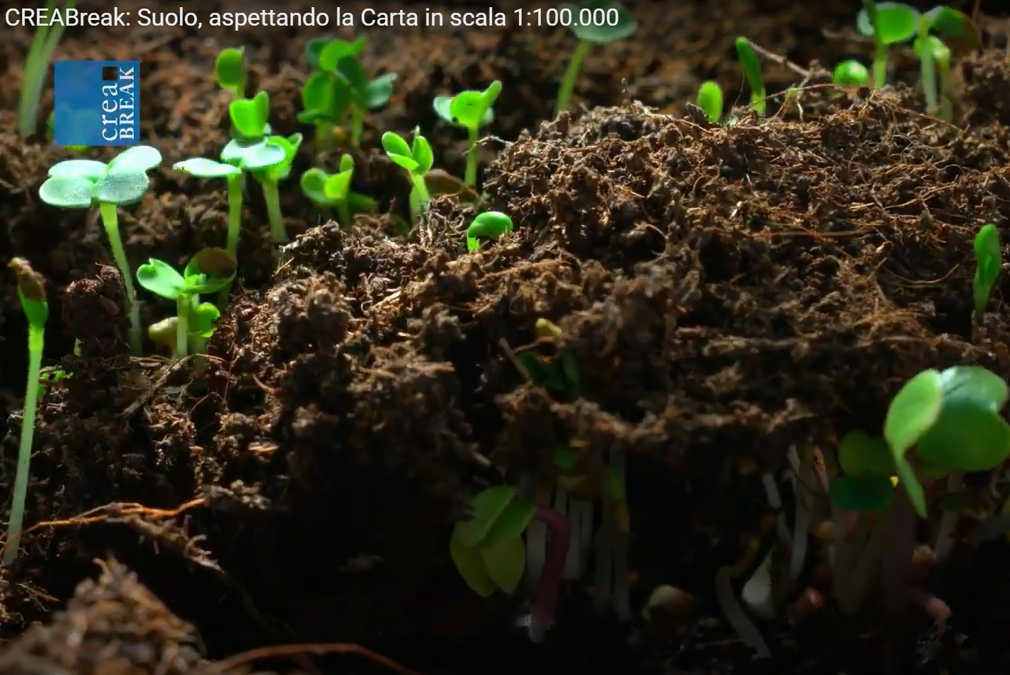 Online il nuovo CREABreak: