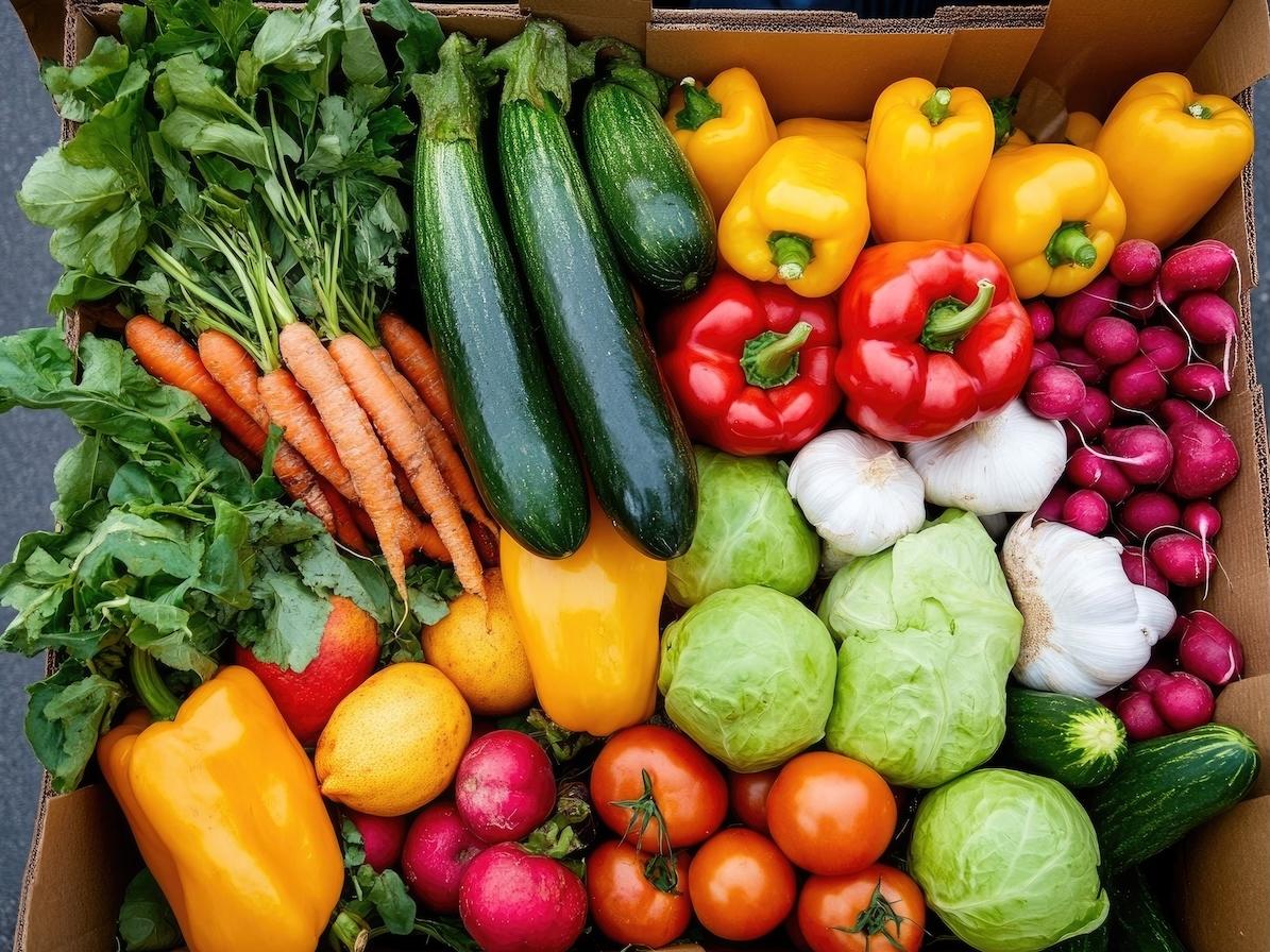 Agroalimentare, trend economico in crescita nel I trimestre del 2025 Agroalimentare, trend economico in crescita nel I trimestre del 2025