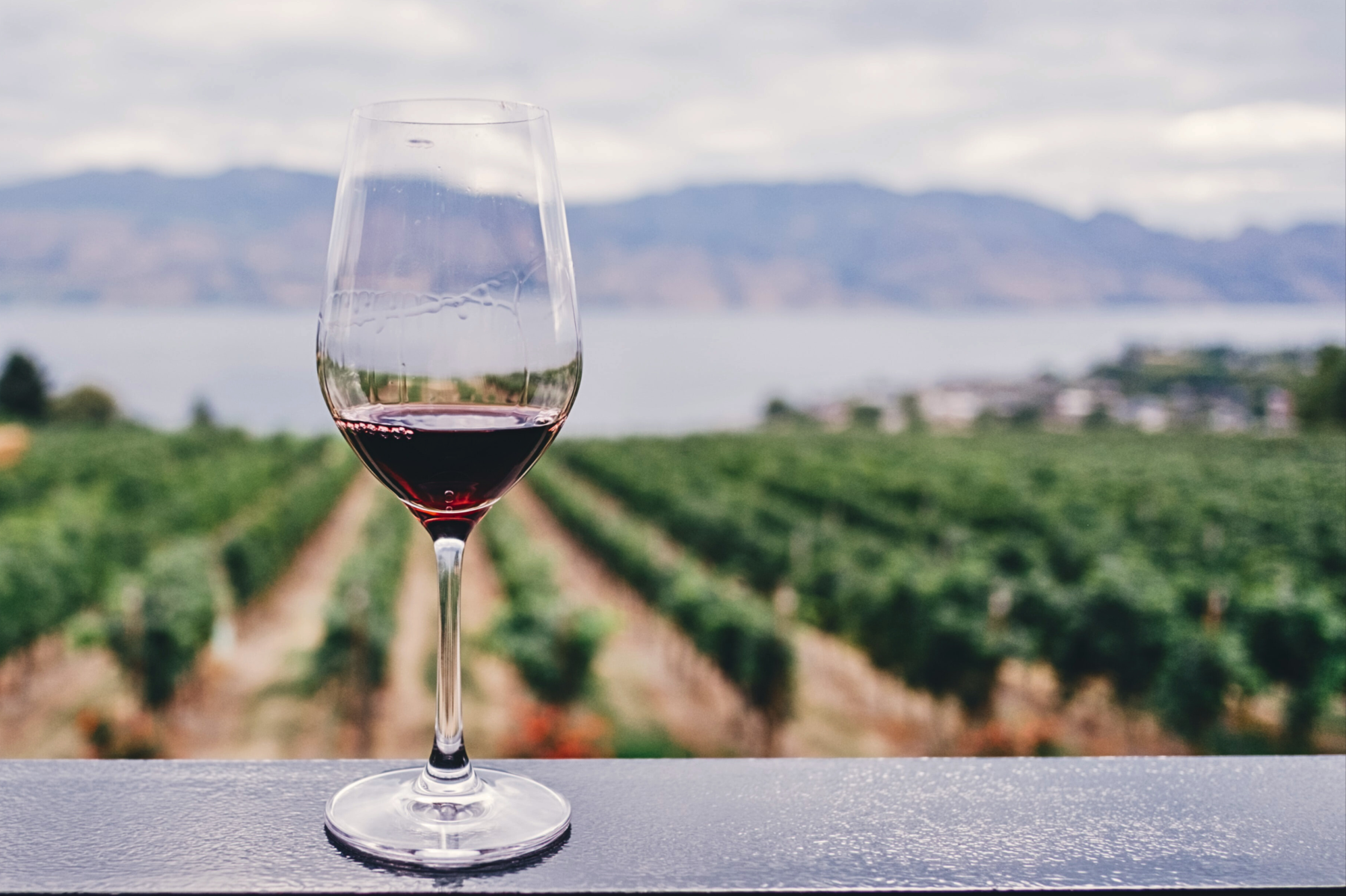 CREABreak, il CREA a Vinitaly and the city: il vino e l'olio del futuro. Le videointerviste ai protagonisti dell'evento CREABreak, il CREA a Vinitaly and the city: il vino e l'olio del futuro. Le videointerviste ai protagonisti dell'evento
