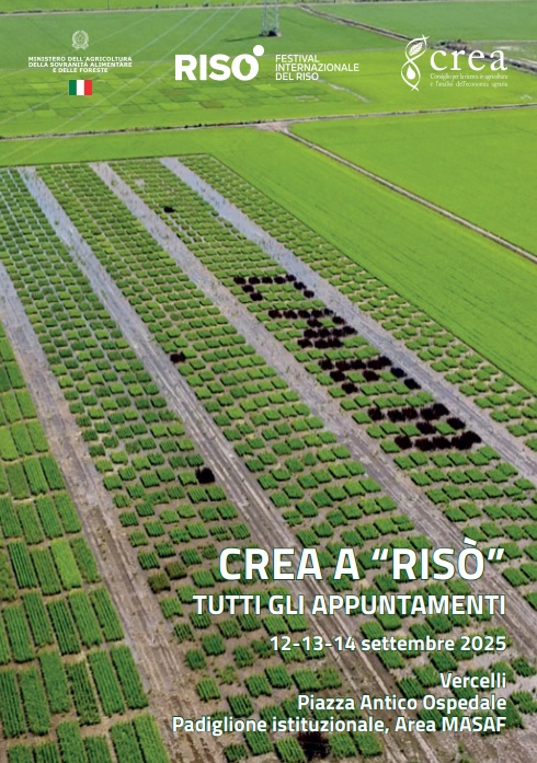 Il CREA protagonista a “RISÒ” di Vercelli: tre giorni dedicati a ricerca, innovazione e cultura del riso
