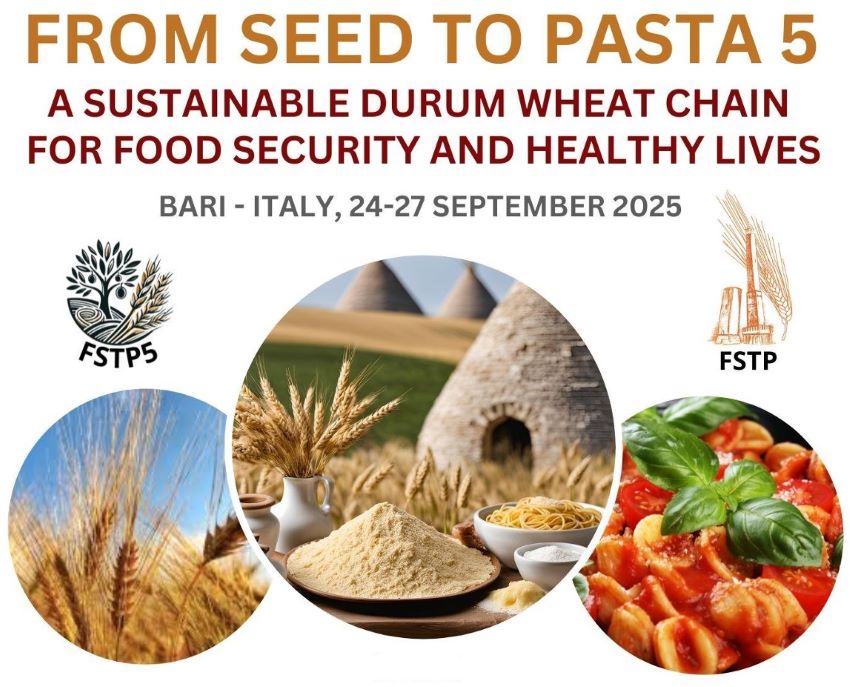 Il CREA protagonista al Congresso Internazionale “From seeds to pasta 5” per una filiera del grano duro più sostenibile e resiliente Il CREA protagonista al Congresso Internazionale “From seeds to pasta 5” per una filiera del grano duro più sostenibile e resiliente