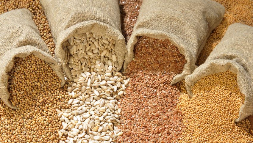 Aspettando la Giornata Europea del Bio: Al via il Piano Nazionale Sementi Biologiche (PNSB) attuato dal CREA