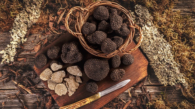 Tartufo: parte al CREA il Corso Nazionale Tartufo: parte al CREA il Corso Nazionale