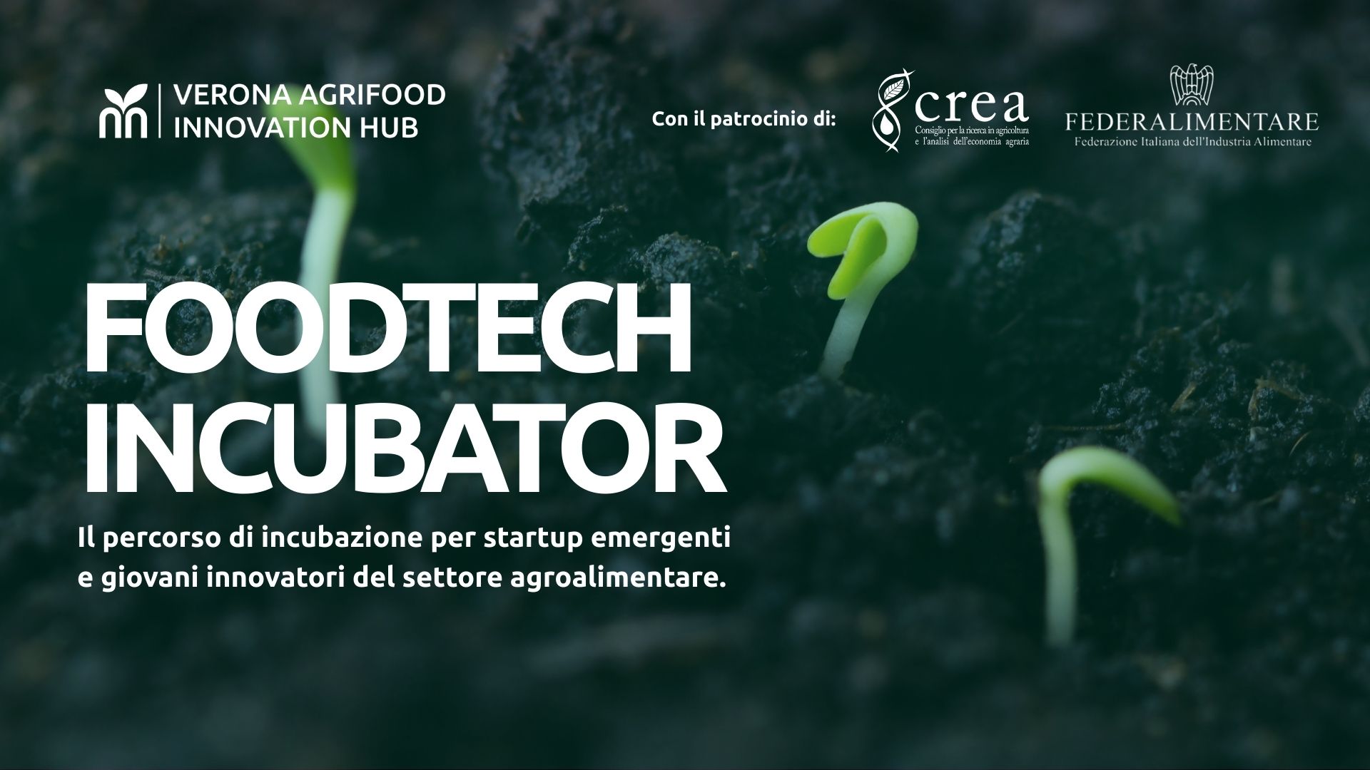 CREA patrocina la Call4Ideas del FoodTech Incubator per l’innovazione agroalimentare
