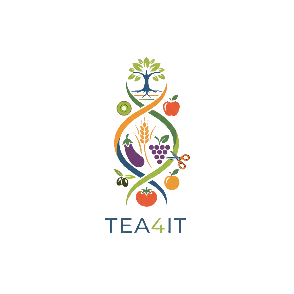 TEA4IT: arriva in campo il progetto CREA sulle Tecnologie di Evoluzione Assistita (TEA) per le filiere agroalimentari italiane TEA4IT: arriva in campo il progetto CREA sulle Tecnologie di Evoluzione Assistita (TEA) per le filiere agroalimentari italiane