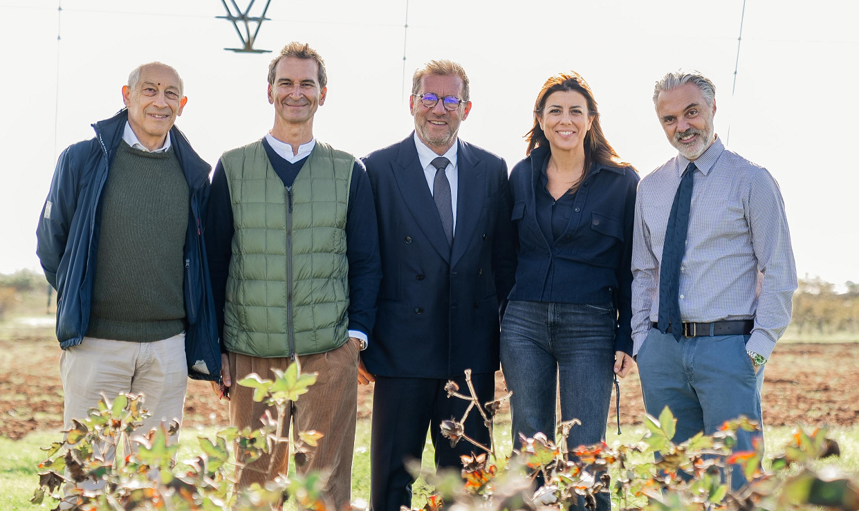 Apulia Regenerative Cotton Project: anche il CREA nel progetto del Gruppo Armani sul cotone in agroforestry