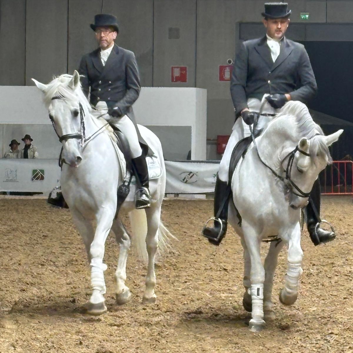 Protocollo d’intesa MASAF - CREA su cavallo sportivo: focus su valorizzazione, miglioramento genetico e benessere animale