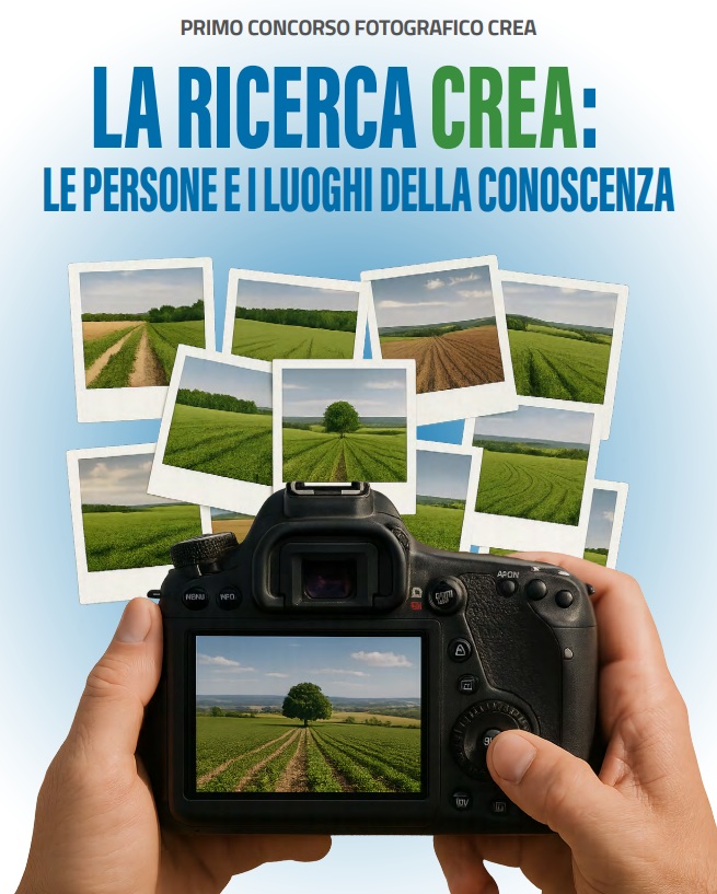 Le persone e i luoghi della conoscenza