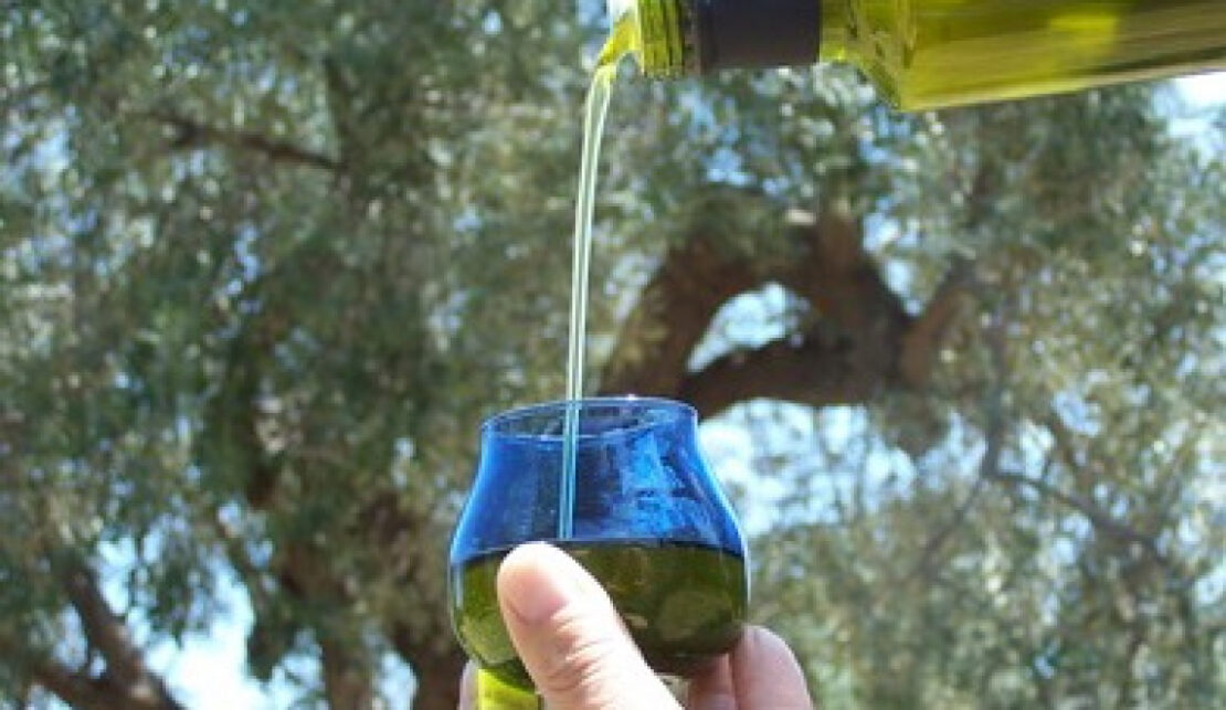 Olio EVO: sul TGR Calabria il corso di assaggiatori professionali del CREA di Rende