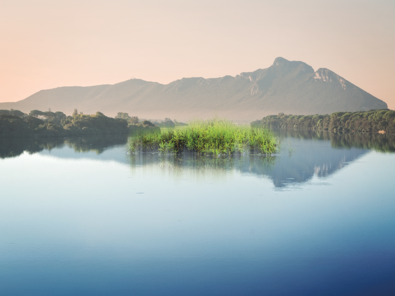 Torba: le alternative sono possibili