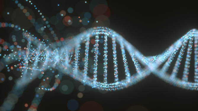 NGT, verso l’intesa UE: Rocchi esprime soddisfazione per il progresso del negoziato