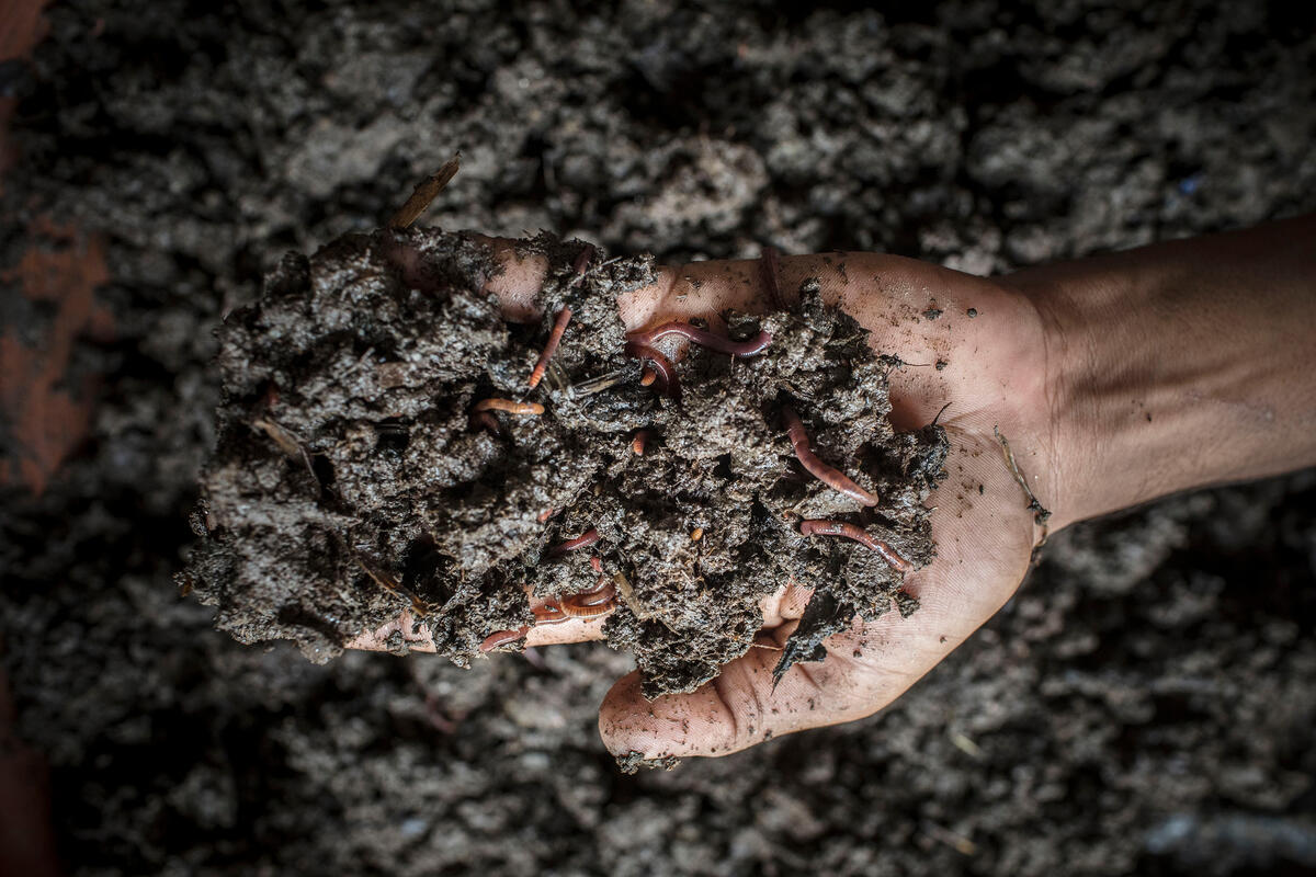 Al CREA giornata di confronto sulla gestione del suolo