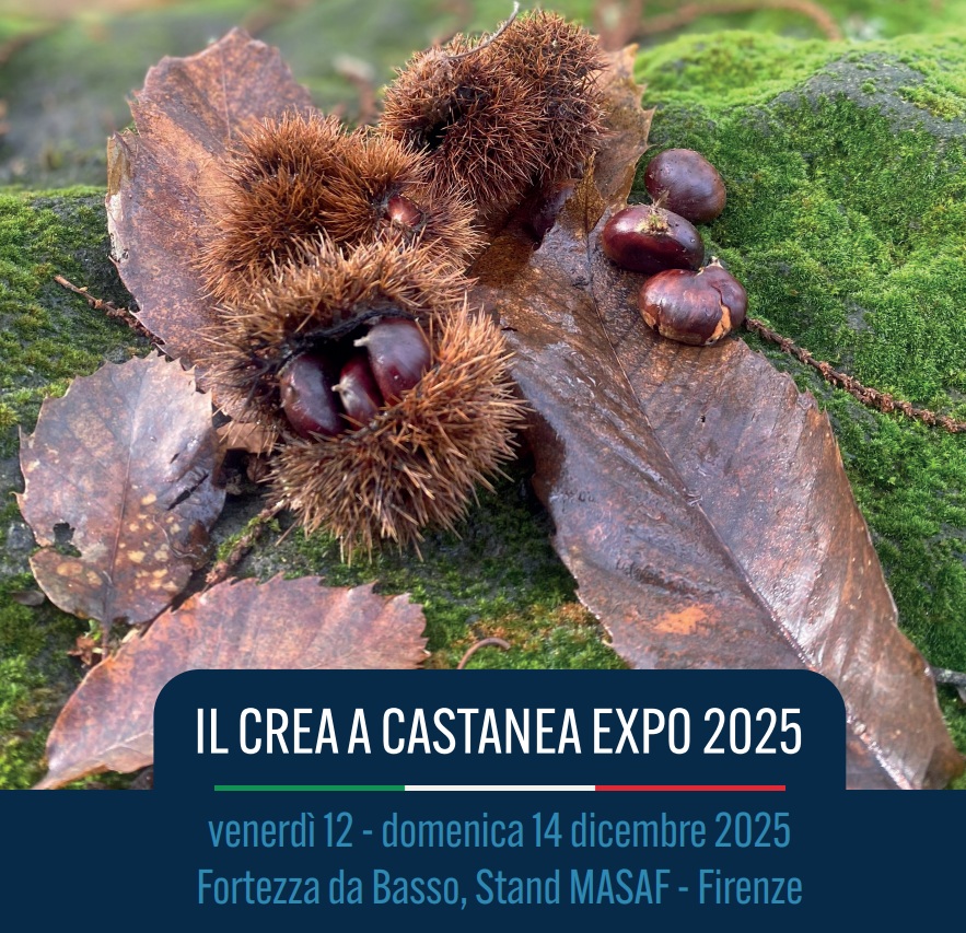 ll CREA a Castanea Expo 2025: ricerca, degustazioni ed esperienze immersive dedicate al mondo del castagno