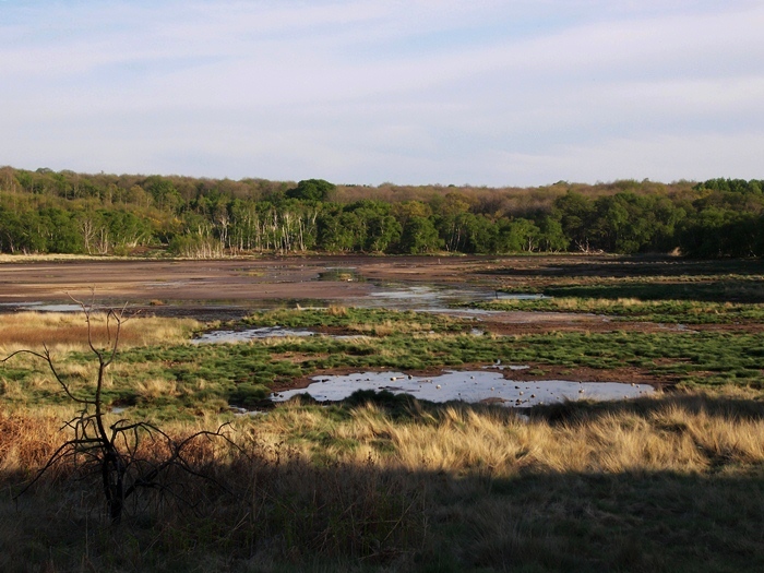 CREA e Assoverde accelerano sulle alternative alla torba