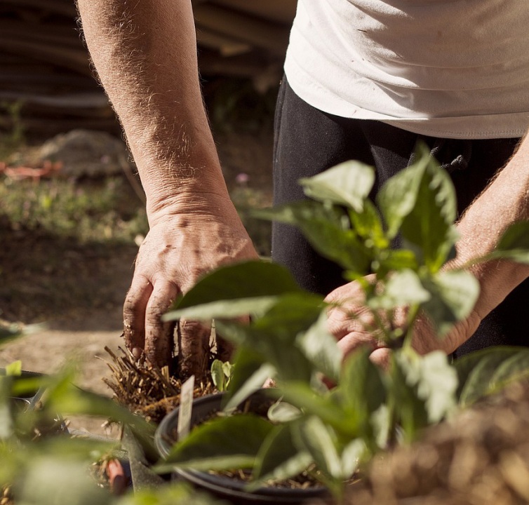 IL NOSTRO CIBO, LA NOSTRA VITA Riflessioni per un sistema agroalimentare equo, resiliente e inclusivo