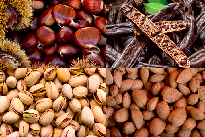 Frutta a guscio: il ruolo della ricerca per la costruzione di una filiera italiana, pi&ugrave; produttiva, resiliente e competitiva