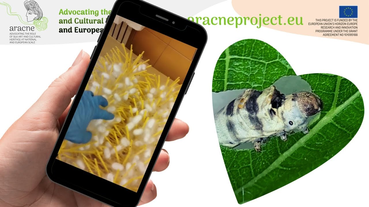 SETA: GRAZIE AD ARACNE, PRONTI A RICOSTITUIRE UNA FILIERA NAZIONALE ED EUROPEA