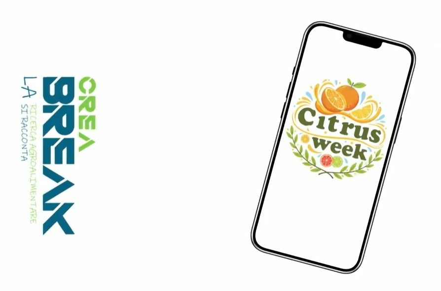 Citrus Day 2026: online il CREA Break dedicato alla giornata di Acireale