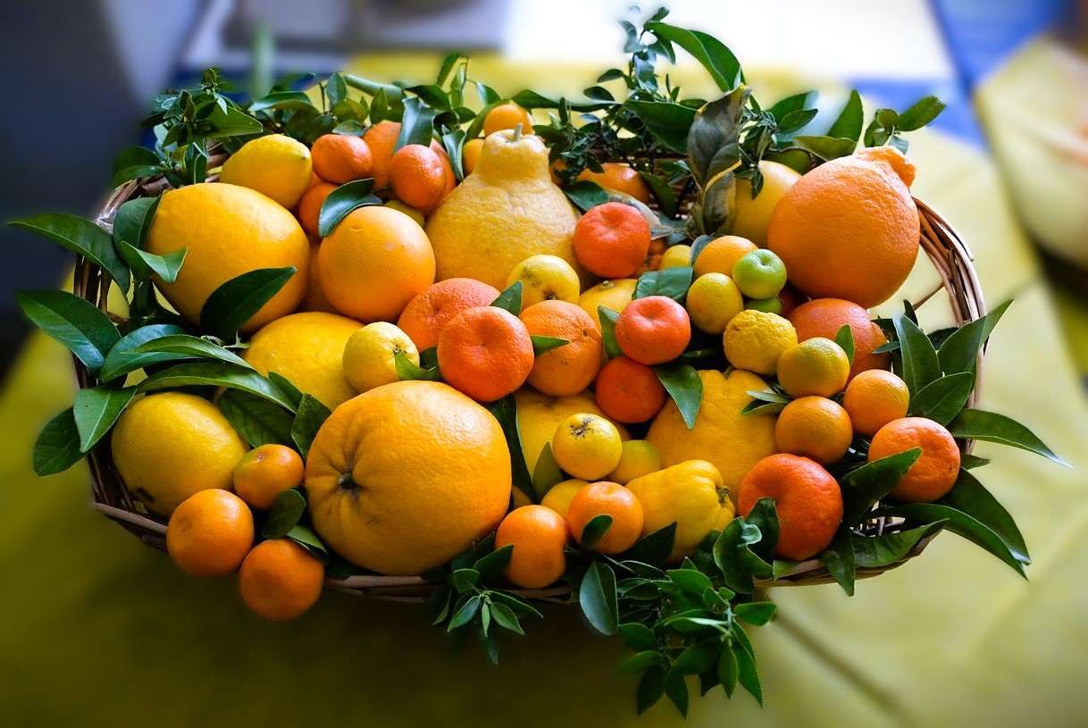 Citrus Day, ad Acireale la vetrina dell’innovazione agrumicola