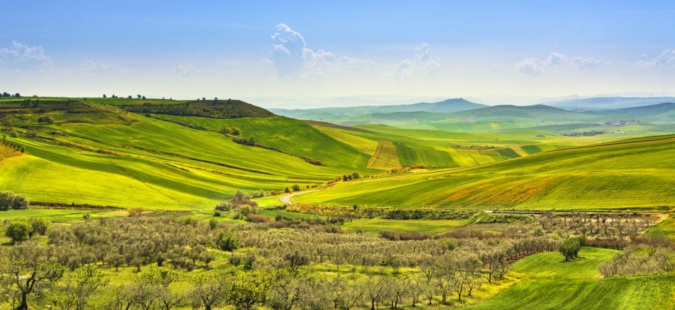 Agricoltura, l’Europa punta alla sostenibilità delle aziende: arriva la RISA