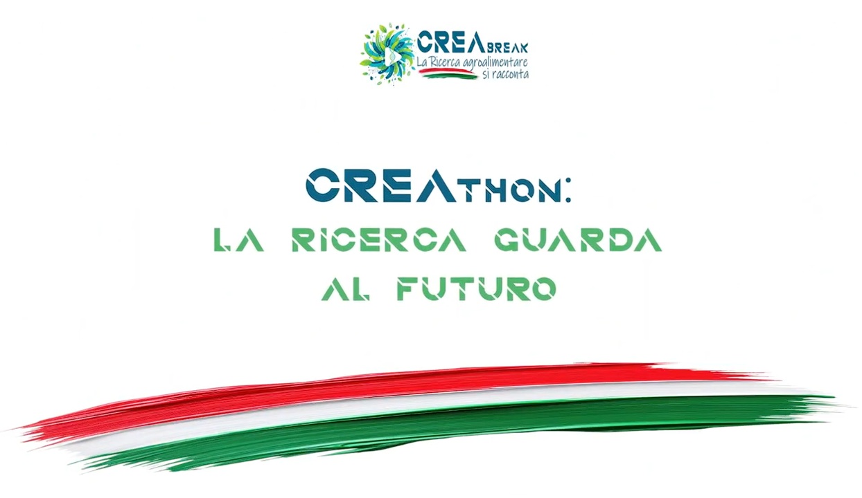 CREAthon 2026: online i CREA Break, le idee della comunità scientifica CREA per il futuro dell’agricoltura