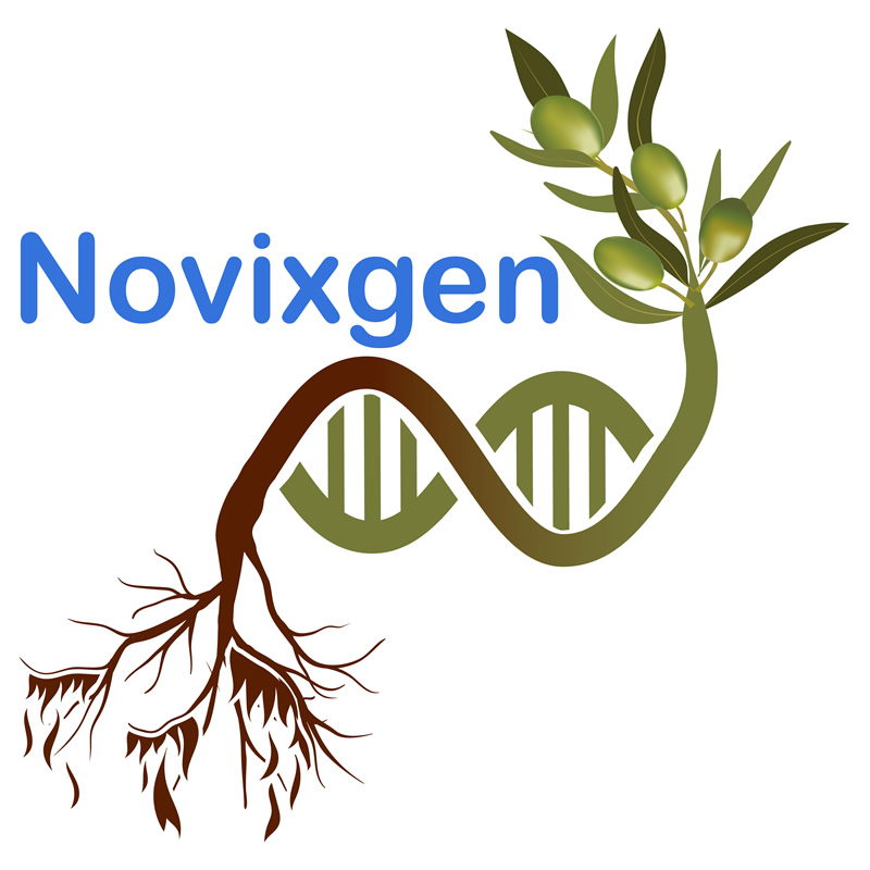 NovixGen: online il sito del progetto