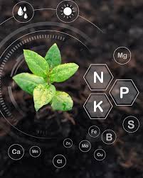 Opportunità per un commercio sostenibile di biofertilizzanti tra l'UE e l'Argentina