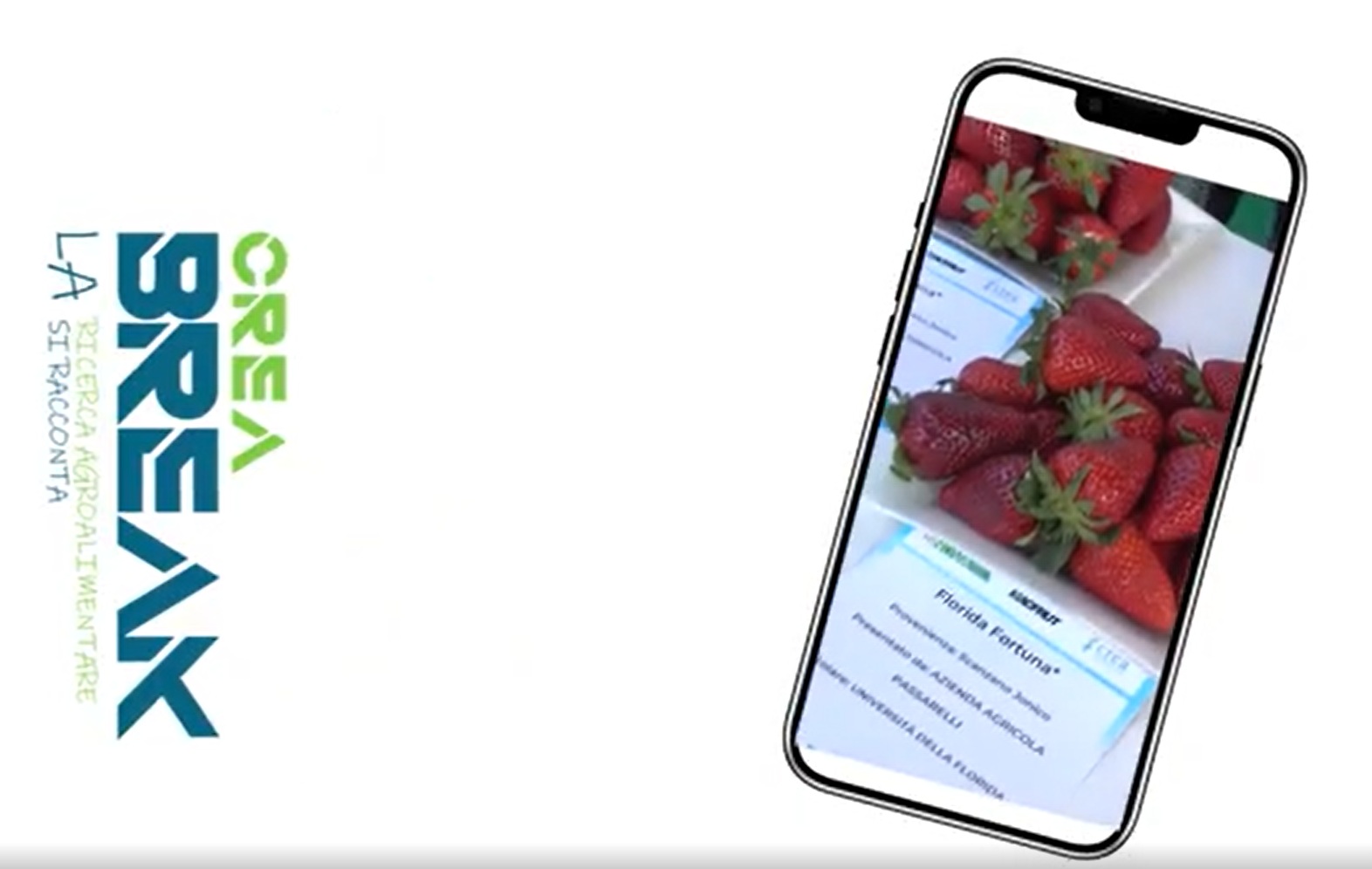 Macfrut 2026: la mostra pomologica raccontata da CREA Break