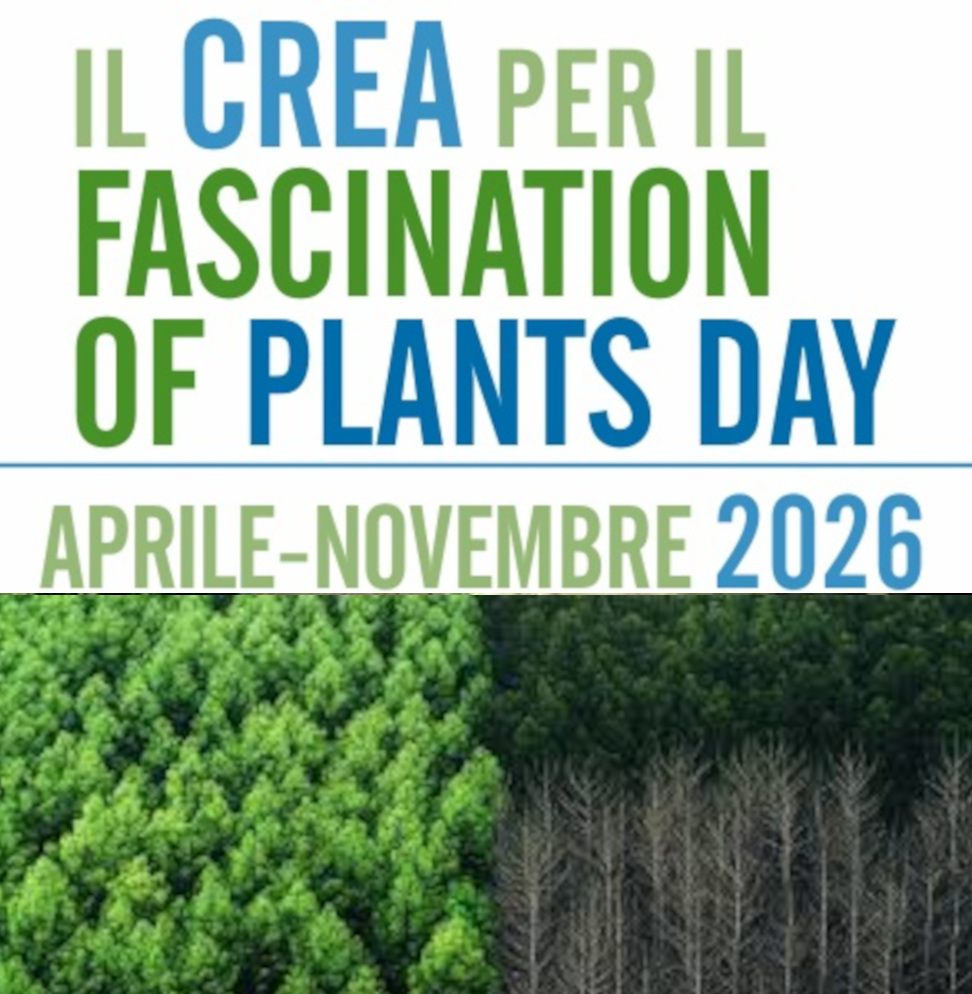 IL CREA PER FASCINATION PLANT DAY: Gli alberi monumentali: i guardiani del paesaggio