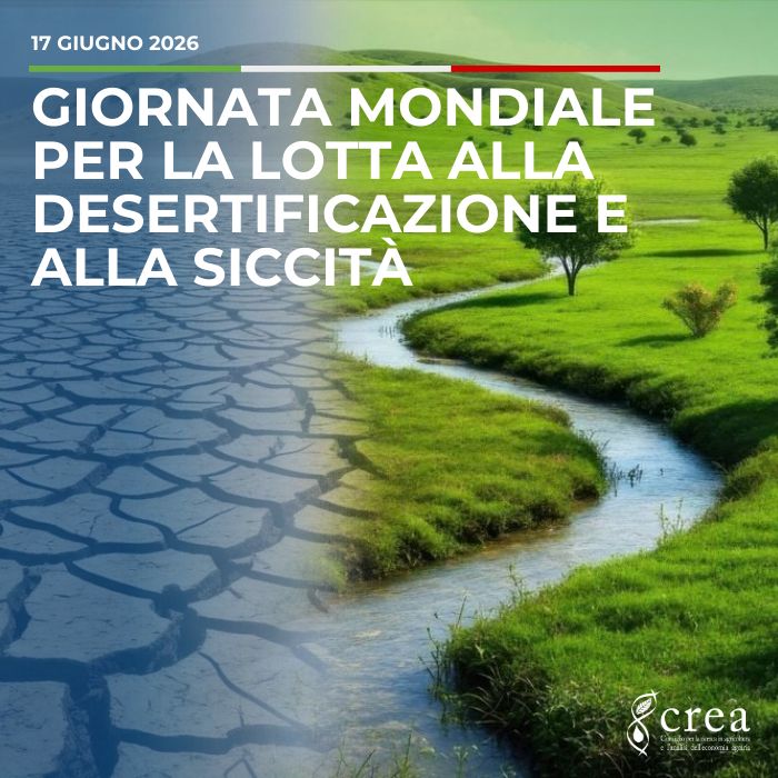 Giornata mondiale per la lotta alla desertificazione e alla siccità 2026: il ruolo strategico dei pascoli