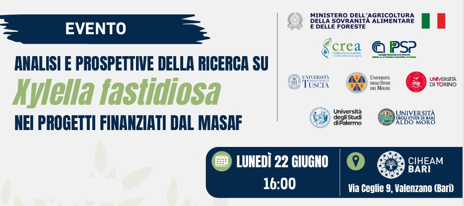 Save the date- Xylella fastidiosa: analisi e prospettive della ricerca nei progetti MASAF