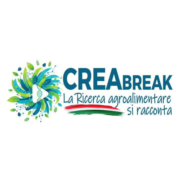 Xylella, la ricerca CREA in primo piano nel nuovo CREABreak