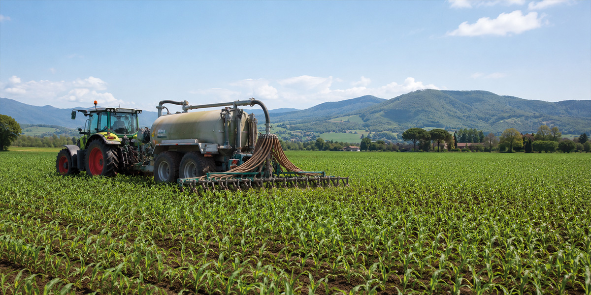Digestato, dalla ricerca CREA nuove soluzioni per ridurre l’uso di fertilizzanti chimici