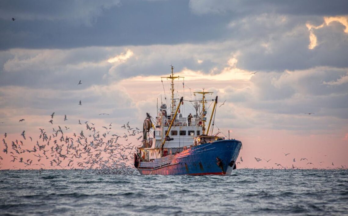 Pesca: CREA, ricerca e innovazione per affrontare le sfide del futuro