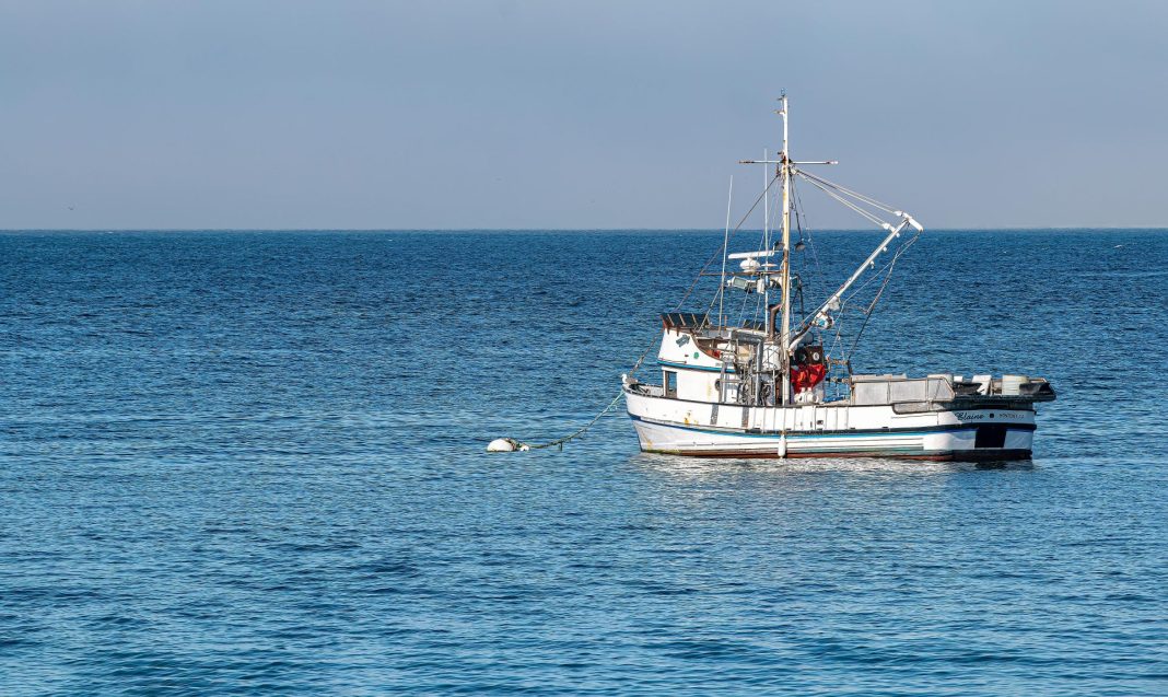 Per la pesca del futuro servono ricerca e innovazione