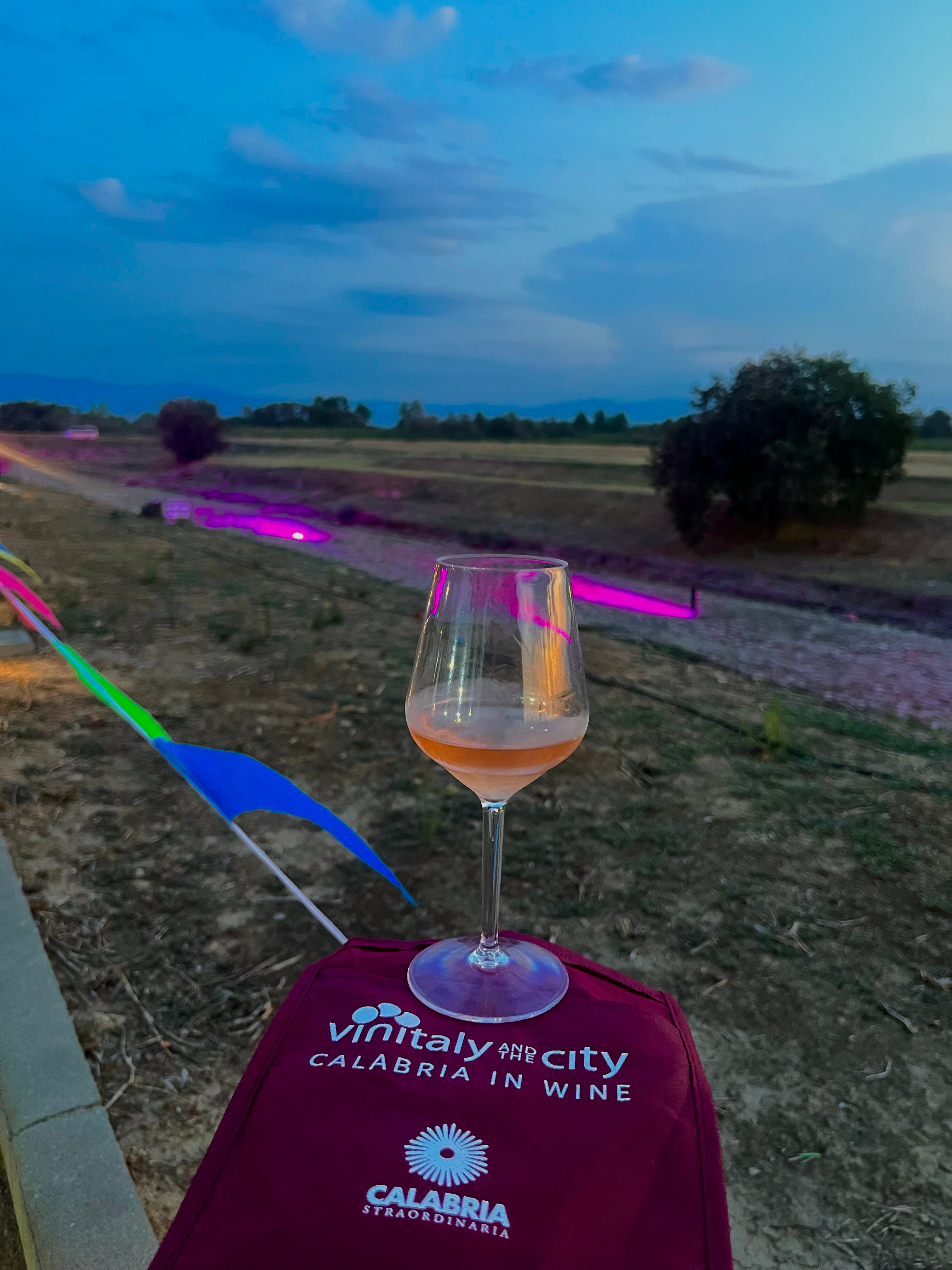 Il CREA a Vinitaly and the City a Sibari: nuove generazioni, cultura del vino, ricerca e sviluppo dei territori
