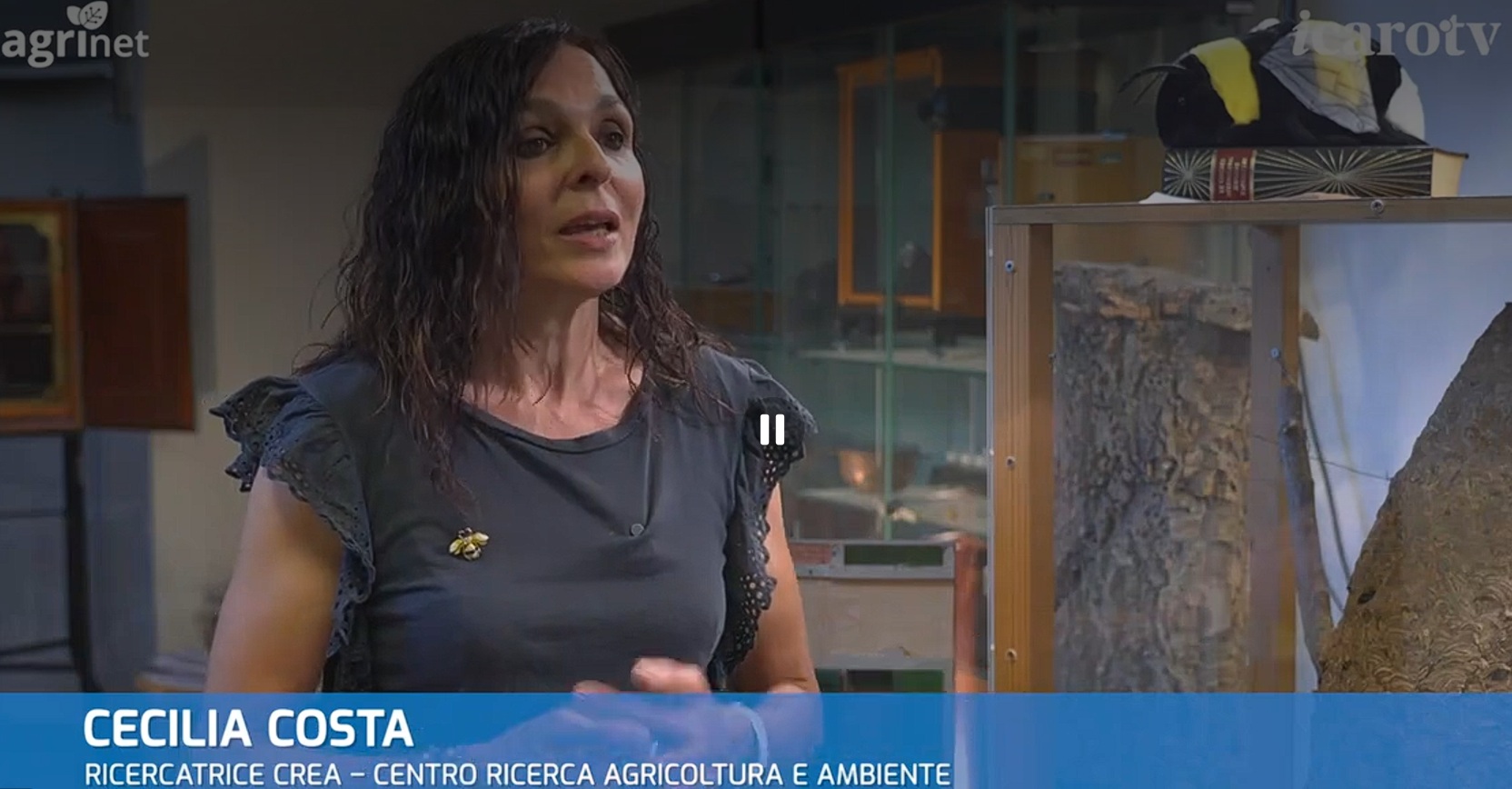 AGRINET su TV 2000: Le api tra ricerca, innovazione e sostenibilit&agrave;: un viaggio nell'apicoltura del futuro