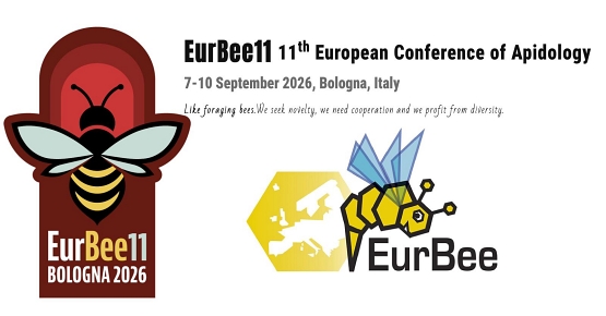 API: al via EurBee 11, la principale conferenza europea di apidologia, organizzata dal CREA e dall'Università di Bologna