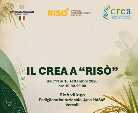 Il CREA a Risò 2026: la scienza del riso tra territorio, innovazione e futuro