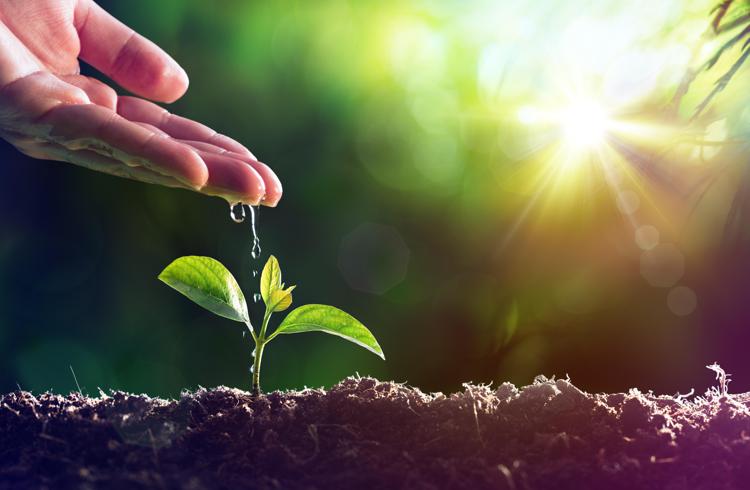 SOIL Date: il futuro del suolo incontra il futuro dell'agricoltura