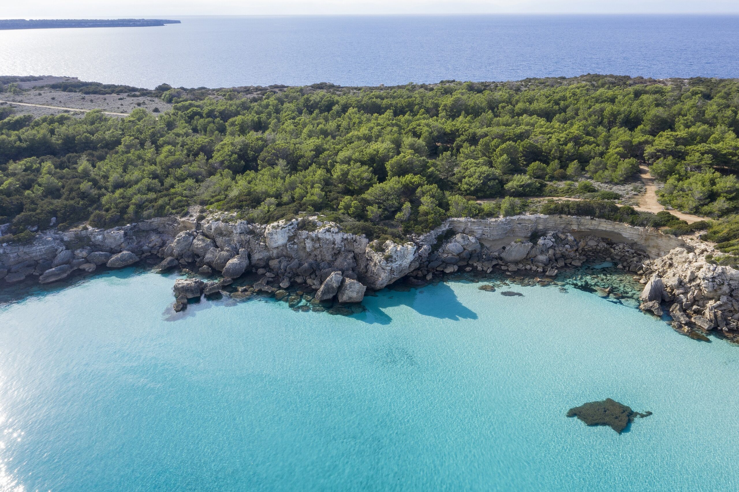 Il contributo del CREA allo sviluppo dell'acquacoltura sostenibile