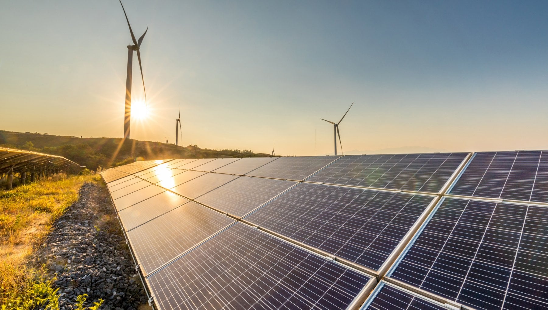 Agroalimentare ed energia: CREA ed RSE si confrontano sulle sfide della transizione