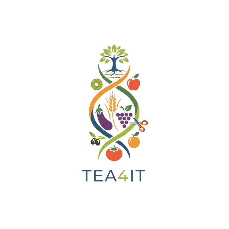 “TEA4IT: chi ha paura delle TEA?”  