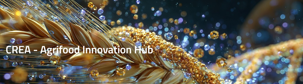 https://www.crea.gov.it/agrifood-innovation-hub